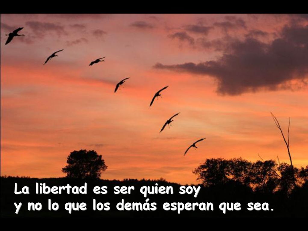 La libertad es ser quien soy y no lo que los demás esperan que sea.