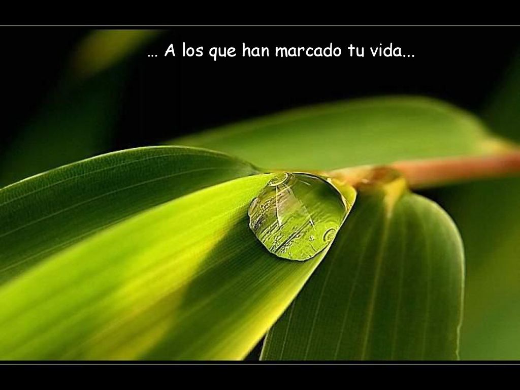 … A los que han marcado tu vida...