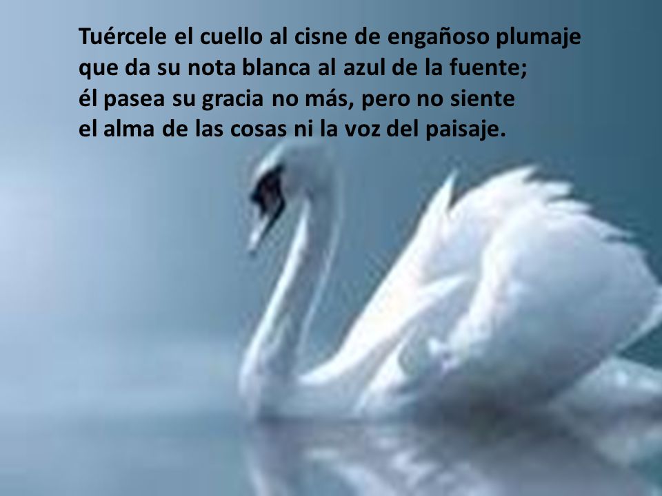 Tuércele el cuello al cisne de engañoso plumaje que da su nota blanca al azul de la fuente; él pasea su gracia no más, pero no siente el alma de las cosas ni la voz del paisaje.
