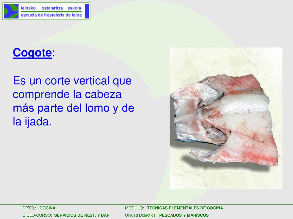 Cogote: Es un corte vertical que comprende la cabeza más parte del lomo y de la ijada.