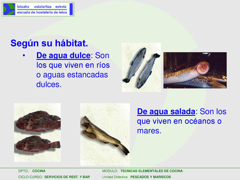 Según su hábitat. De agua dulce: Son los que viven en ríos o aguas estancadas dulces.