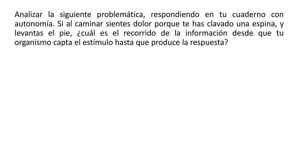 Analizar la siguiente problemática, respondiendo en tu cuaderno con autonomía.