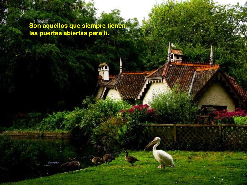 Son aquellos que siempre tienen las puertas abiertas para ti.