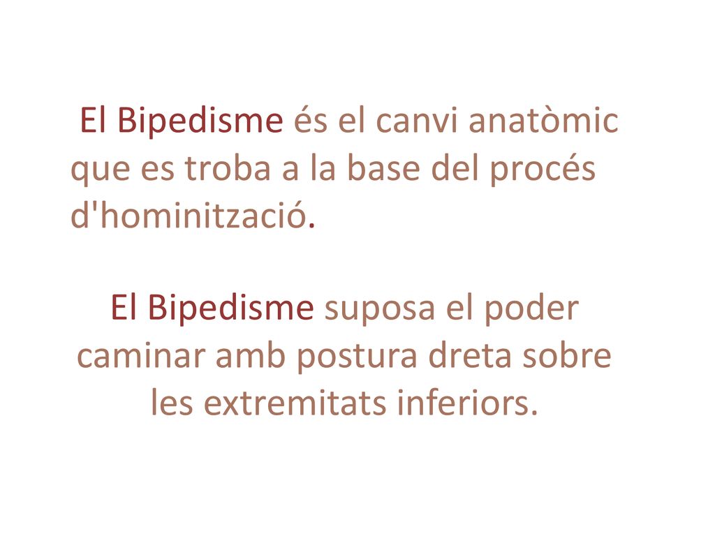 El Bipedisme és el canvi anatòmic que es troba a la base del procés d hominització.