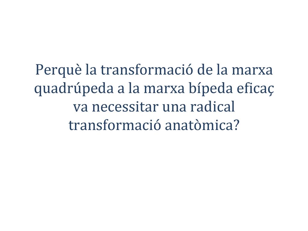 Perquè la transformació de la marxa quadrúpeda a la marxa bípeda eficaç va necessitar una radical transformació anatòmica