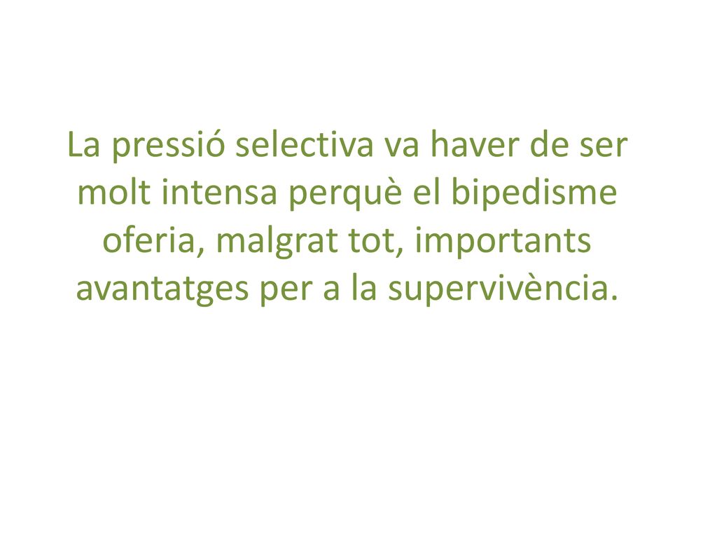 La pressió selectiva va haver de ser molt intensa perquè el bipedisme oferia, malgrat tot, importants avantatges per a la supervivència.