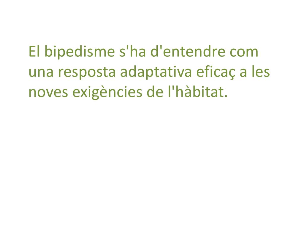 El bipedisme s ha d entendre com una resposta adaptativa eficaç a les noves exigències de l hàbitat.