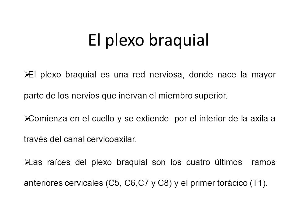 El plexo braquial El plexo braquial es una red nerviosa, donde nace la mayor parte de los nervios que inervan el miembro superior.