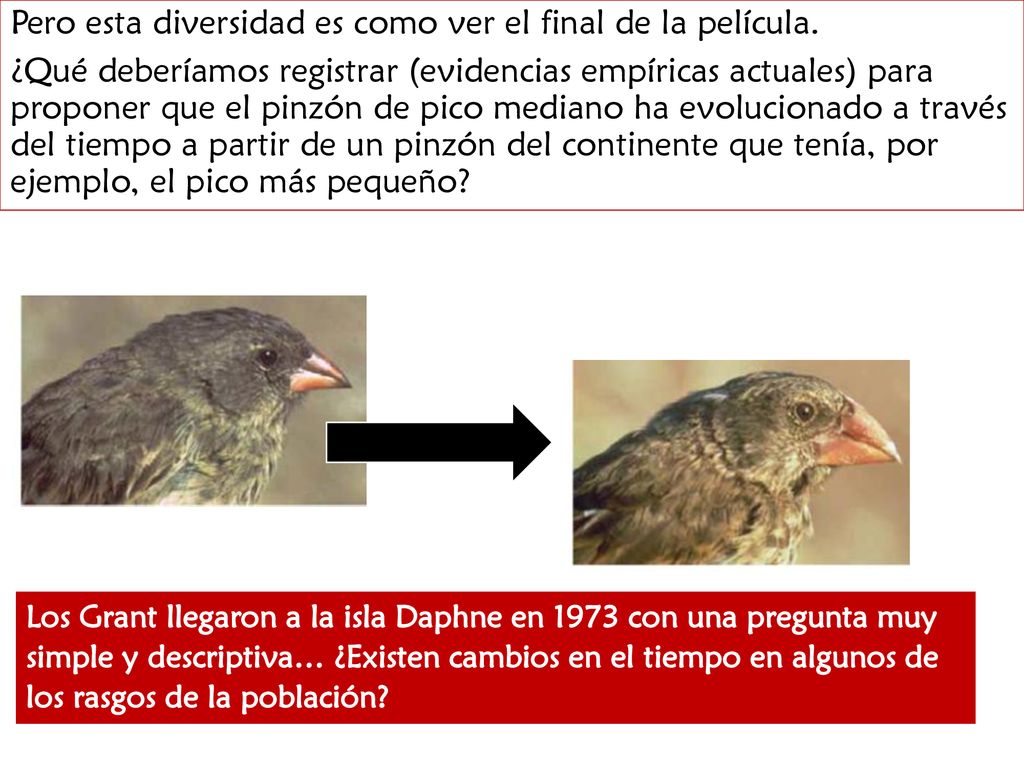 Pero esta diversidad es como ver el final de la película