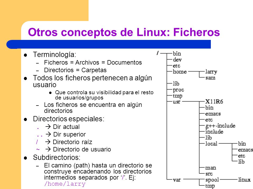 Otros conceptos de Linux: Ficheros