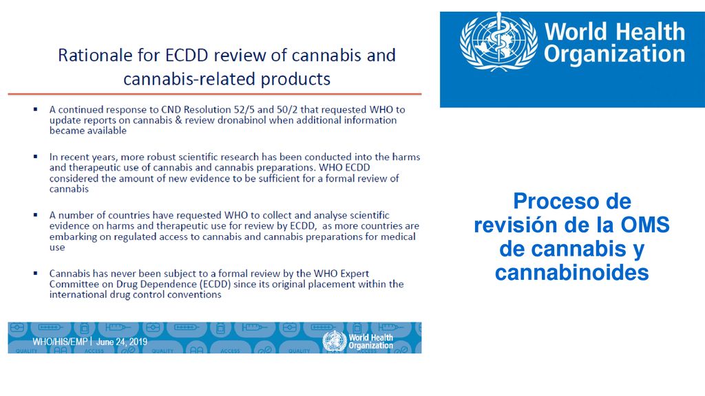 Proceso de revisión de la OMS de cannabis y cannabinoides