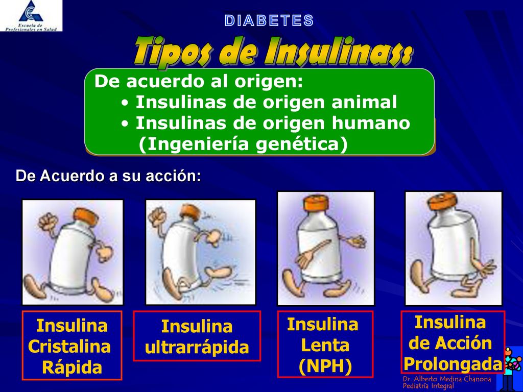 Tipos de Insulinas: De acuerdo al origen: Insulinas de origen animal