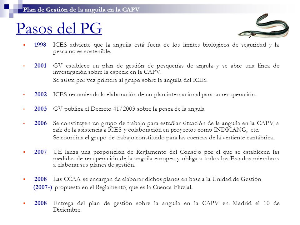 Pasos del PG Plan de Gestión de la anguila en la CAPV