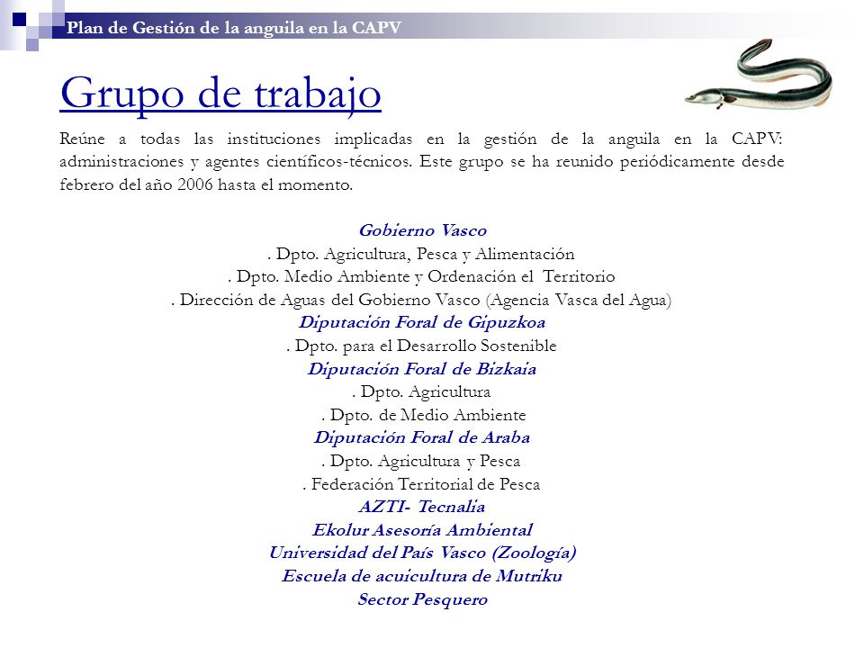 Grupo de trabajo Plan de Gestión de la anguila en la CAPV