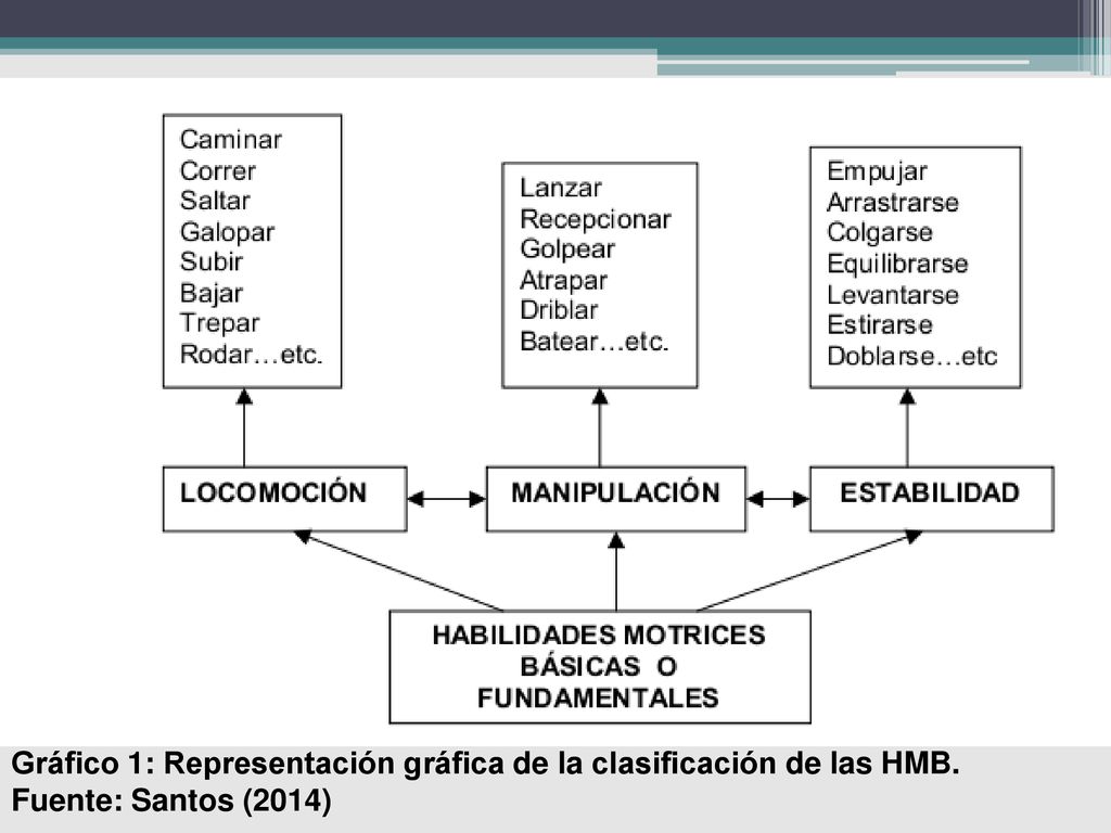 Gráfico 1: Representación gráfica de la clasificación de las HMB.