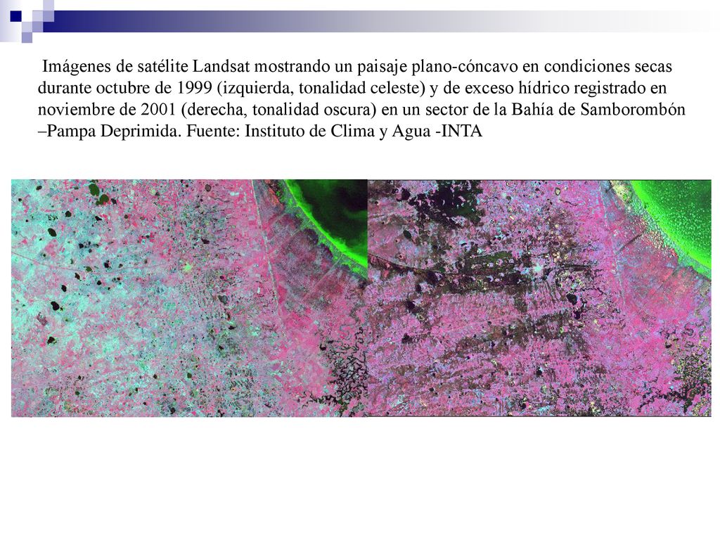 Imágenes de satélite Landsat mostrando un paisaje plano-cóncavo en condiciones secas durante octubre de 1999 (izquierda, tonalidad celeste) y de exceso hídrico registrado en noviembre de 2001 (derecha, tonalidad oscura) en un sector de la Bahía de Samborombón –Pampa Deprimida.