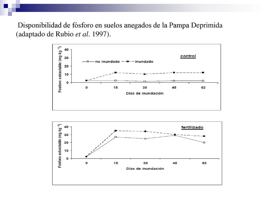 Disponibilidad de fósforo en suelos anegados de la Pampa Deprimida (adaptado de Rubio et al. 1997).