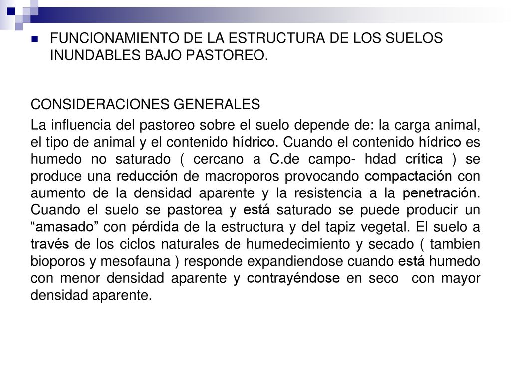 FUNCIONAMIENTO DE LA ESTRUCTURA DE LOS SUELOS INUNDABLES BAJO PASTOREO.