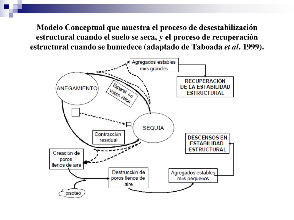 Modelo Conceptual que muestra el proceso de desestabilización estructural cuando el suelo se seca, y el proceso de recuperación estructural cuando se humedece (adaptado de Taboada et al.