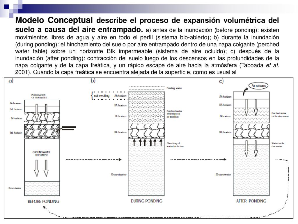 Modelo Conceptual describe el proceso de expansión volumétrica del suelo a causa del aire entrampado.