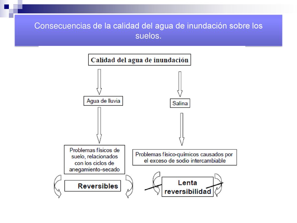 Consecuencias de la calidad del agua de inundación sobre los suelos.