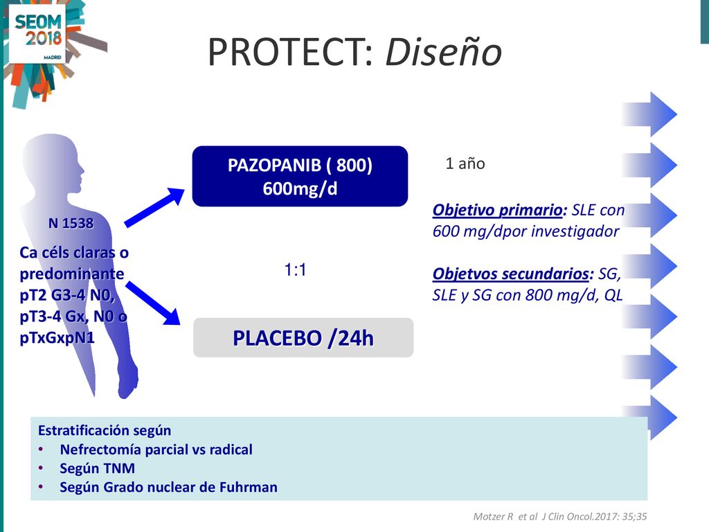 PROTECT: Diseño PLACEBO /24h PAZOPANIB ( 800) 600mg/d 1 año