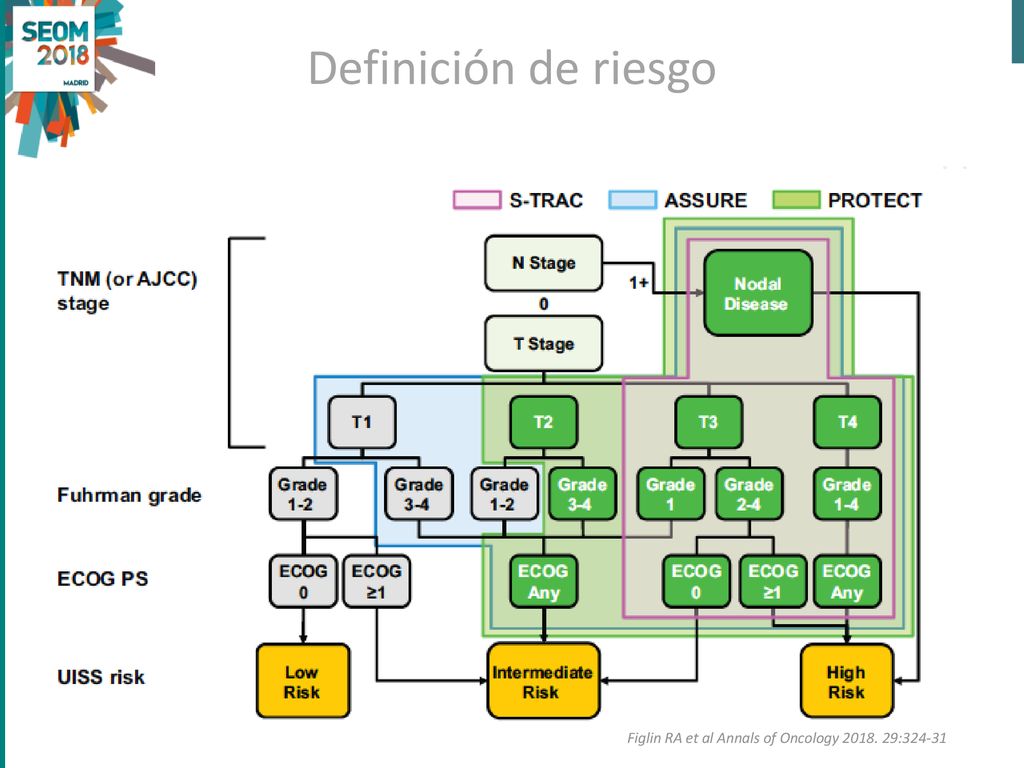 Definición de riesgo Figlin RA et al Annals of Oncology :324-31