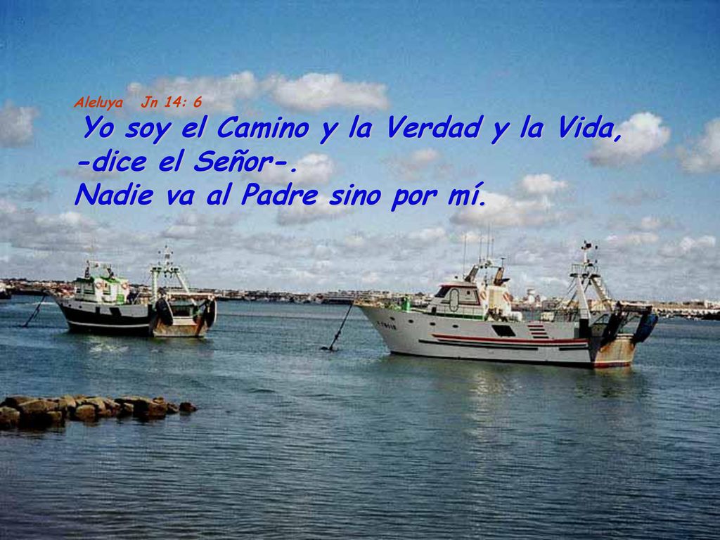 Aleluya Jn 14: 6 Yo soy el Camino y la Verdad y la Vida, -dice el Señor-.