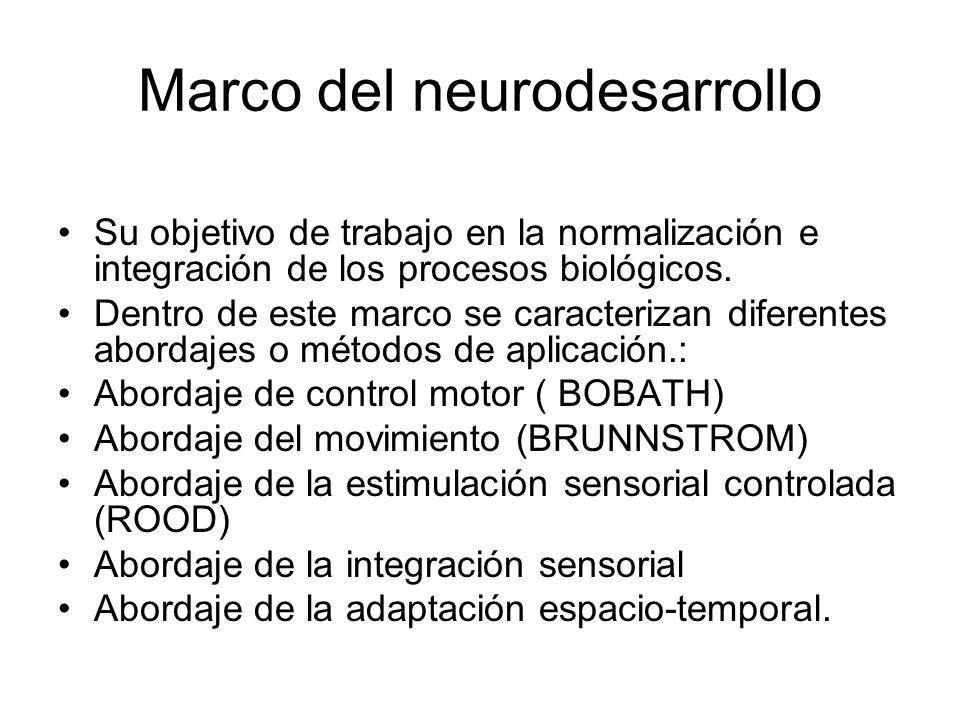 Marco del neurodesarrollo