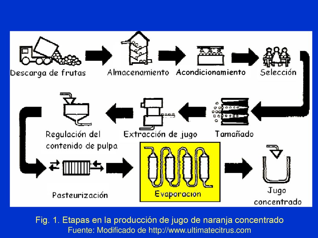 Fig. 1. Etapas en la producción de jugo de naranja concentrado