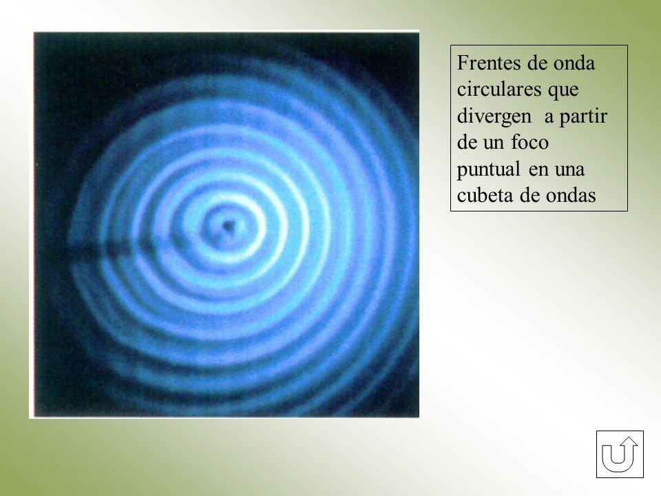Frentes de onda circulares que divergen a partir de un foco puntual en una cubeta de ondas