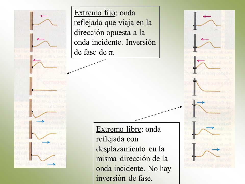 Extremo fijo: onda reflejada que viaja en la dirección opuesta a la onda incidente. Inversión de fase de π.