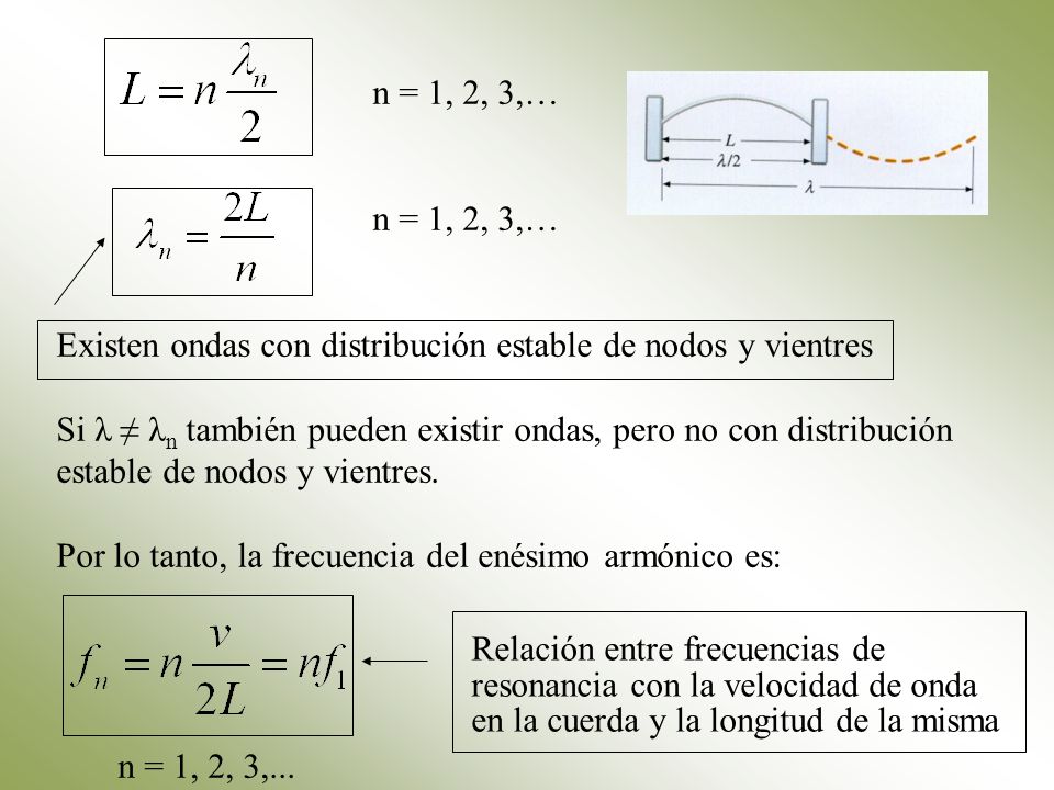 n = 1, 2, 3,… Existen ondas con distribución estable de nodos y vientres.
