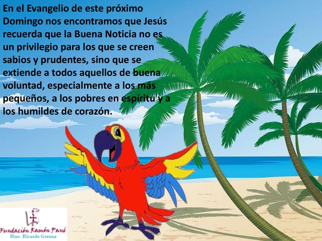 En el Evangelio de este próximo Domingo nos encontramos que Jesús recuerda que la Buena Noticia no es un privilegio para los que se creen sabios y prudentes, sino que se extiende a todos aquellos de buena voluntad, especialmente a los más pequeños, a los pobres en espíritu y a los humildes de corazón.