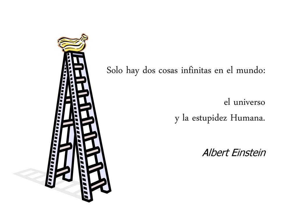 Solo hay dos cosas infinitas en el mundo: el universo