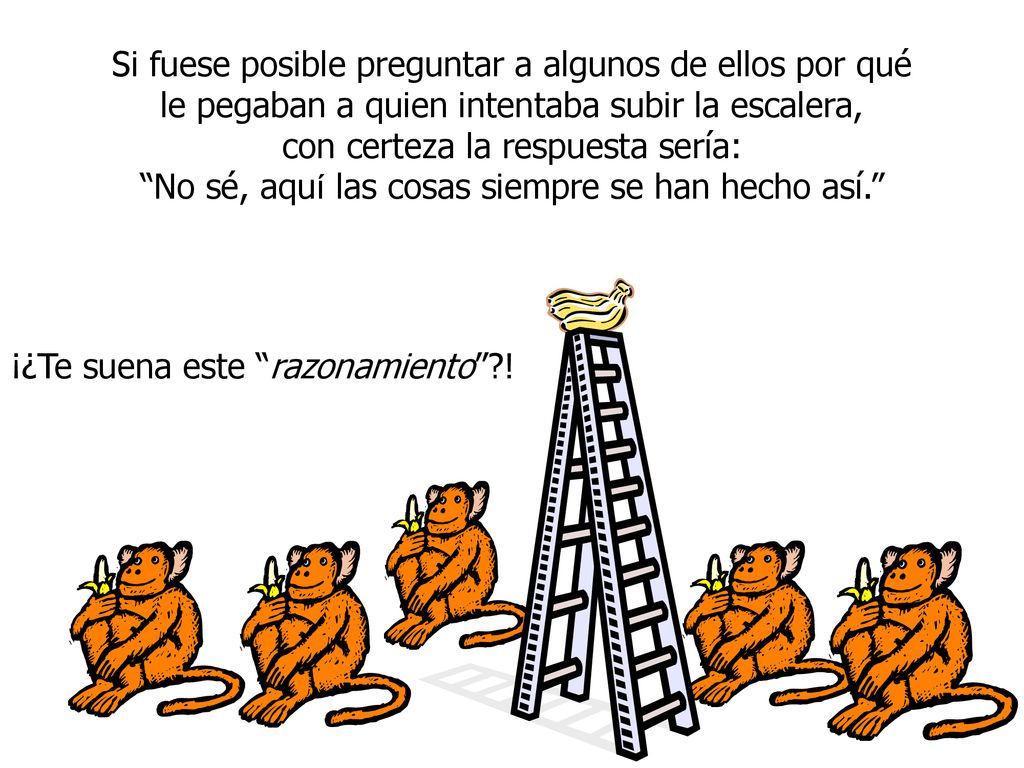 Si fuese posible preguntar a algunos de ellos por qué