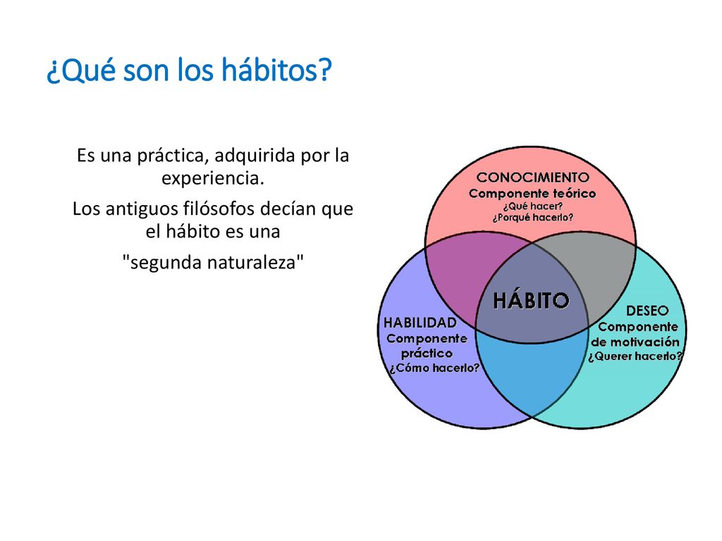 ¿Qué son los hábitos. Es una práctica, adquirida por la experiencia.