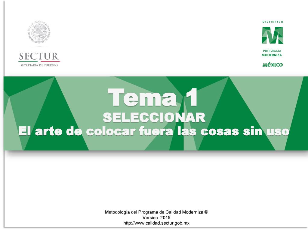 Tema 1 SELECCIONAR El arte de colocar fuera las cosas sin uso