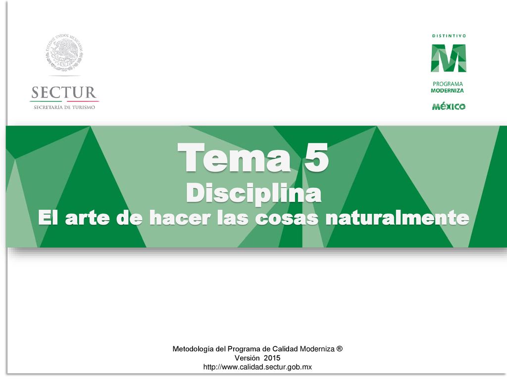 Tema 5 Disciplina El arte de hacer las cosas naturalmente