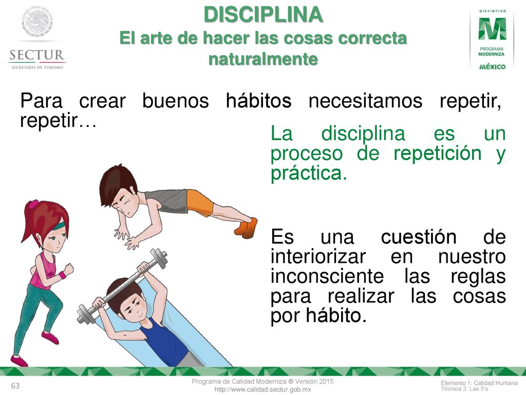 DISCIPLINA El arte de hacer las cosas correcta naturalmente
