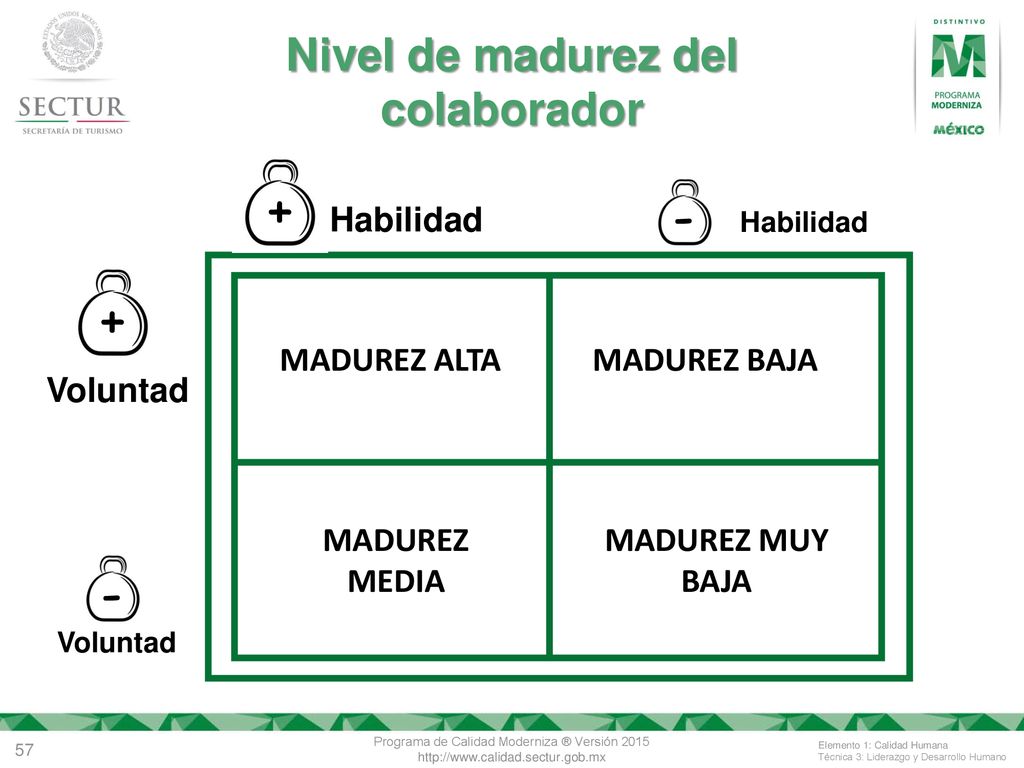 + - Nivel de madurez del colaborador MADUREZ ALTA MADUREZ MEDIA