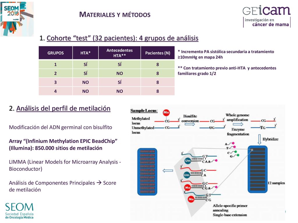 Materiales y métodos 1. Cohorte test (32 pacientes): 4 grupos de análisis. GRUPOS. HTA* Antecedentes HTA**