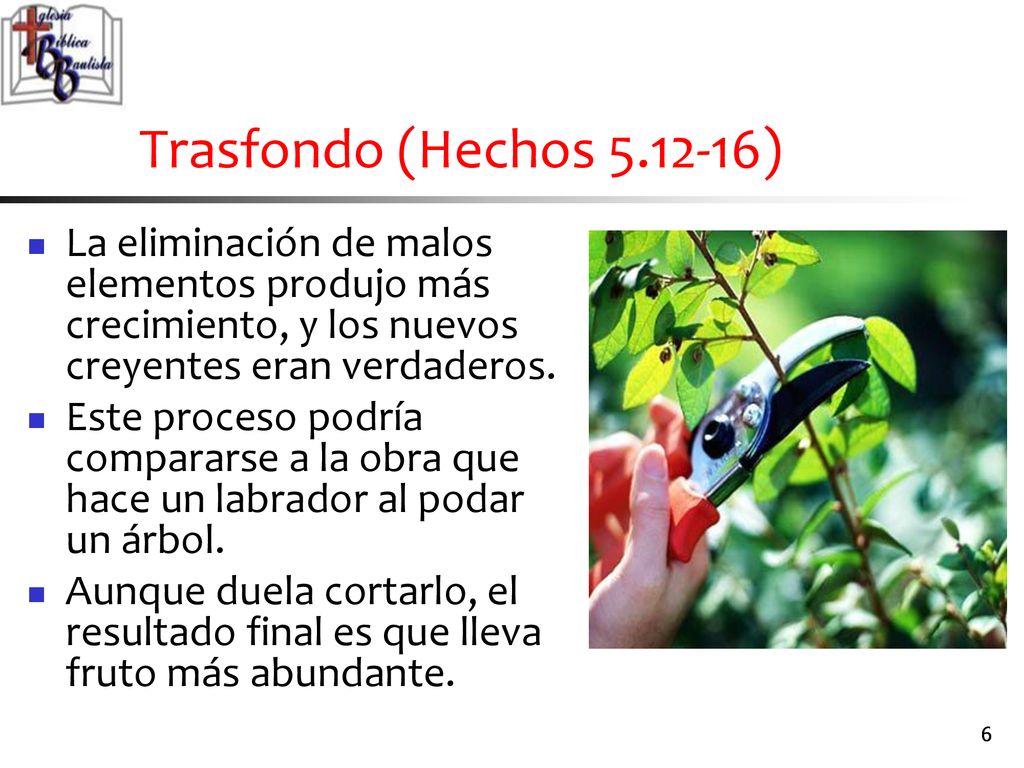 Trasfondo (Hechos ) La eliminación de malos elementos produjo más crecimiento, y los nuevos creyentes eran verdaderos.