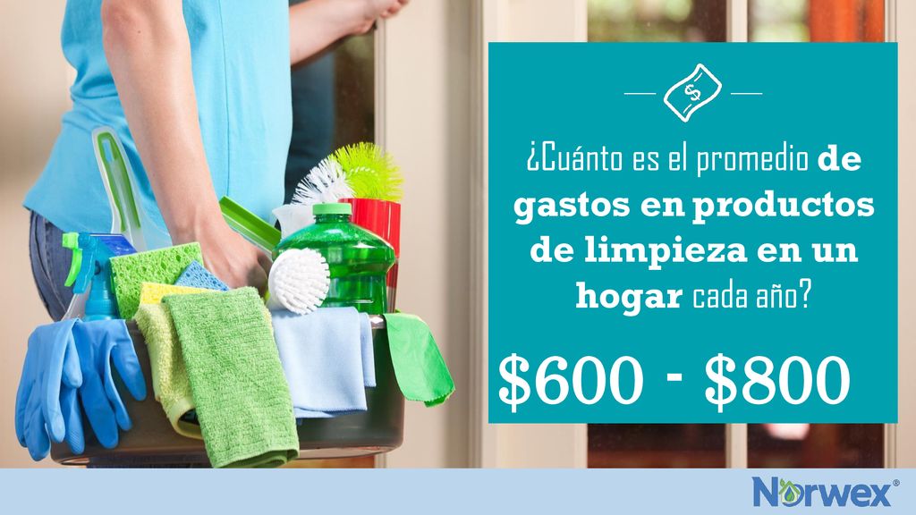 ¿Cuánto es el promedio de gastos en productos de limpieza en un hogar cada año