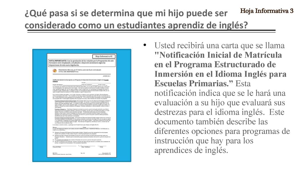 ¿Qué pasa si se determina que mi hijo puede ser considerado como un estudiantes aprendiz de inglés