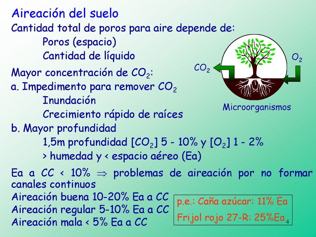 Aireación del suelo Cantidad total de poros para aire depende de: