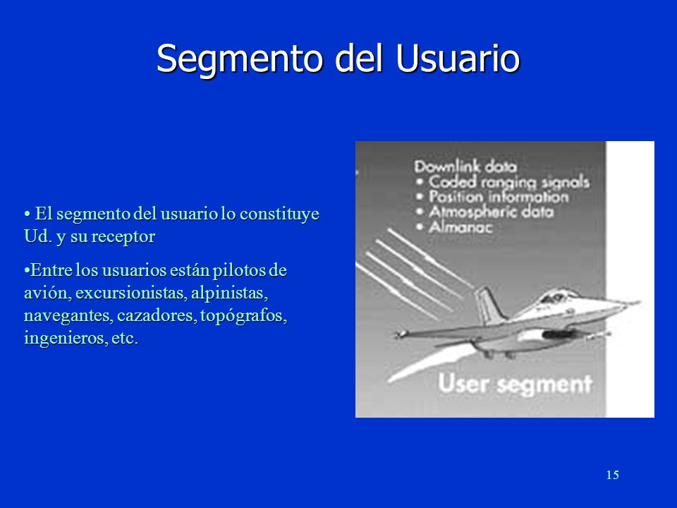 Segmento del Usuario El segmento del usuario lo constituye Ud. y su receptor.
