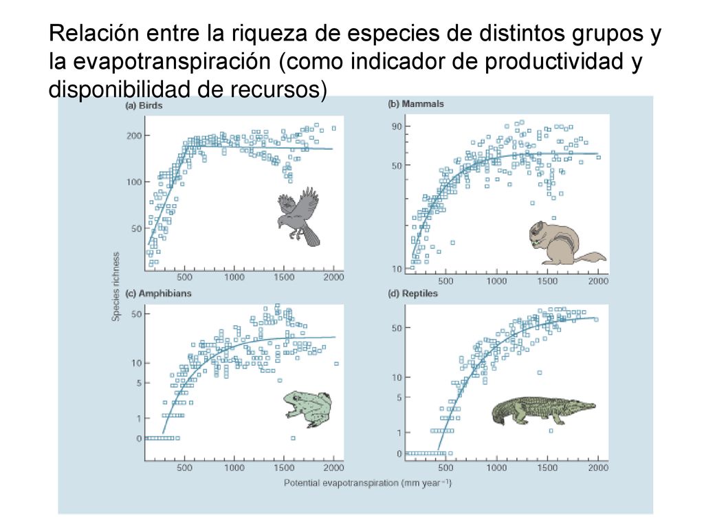 Relación entre la riqueza de especies de distintos grupos y la evapotranspiración (como indicador de productividad y disponibilidad de recursos)