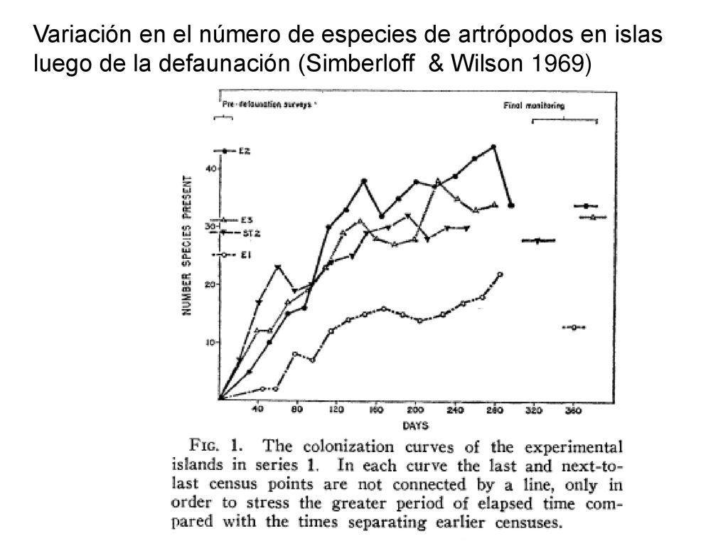 Variación en el número de especies de artrópodos en islas luego de la defaunación (Simberloff & Wilson 1969)