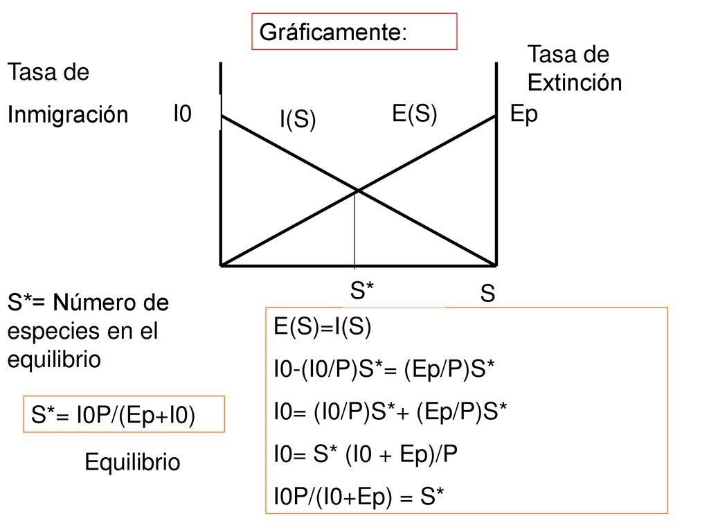 Gráficamente: Tasa de Extinción. Tasa de. Inmigración. I0. E(S) Ep. I(S) S* S. S*= Número de especies en el equilibrio.
